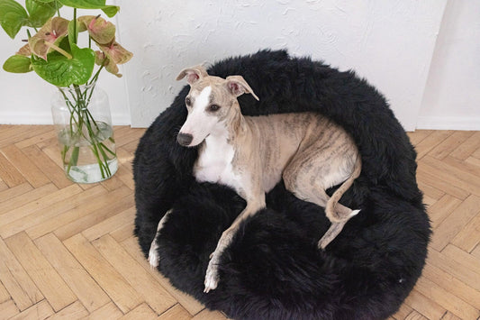 Premium Natural Sheepskin Pet Cave Bed — Black