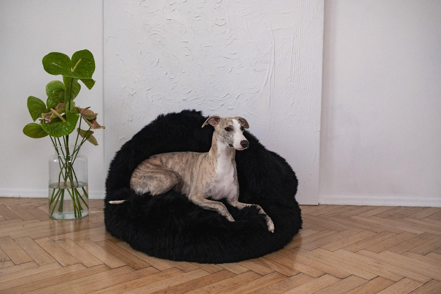 Premium Natural Sheepskin Pet Cave Bed — Black