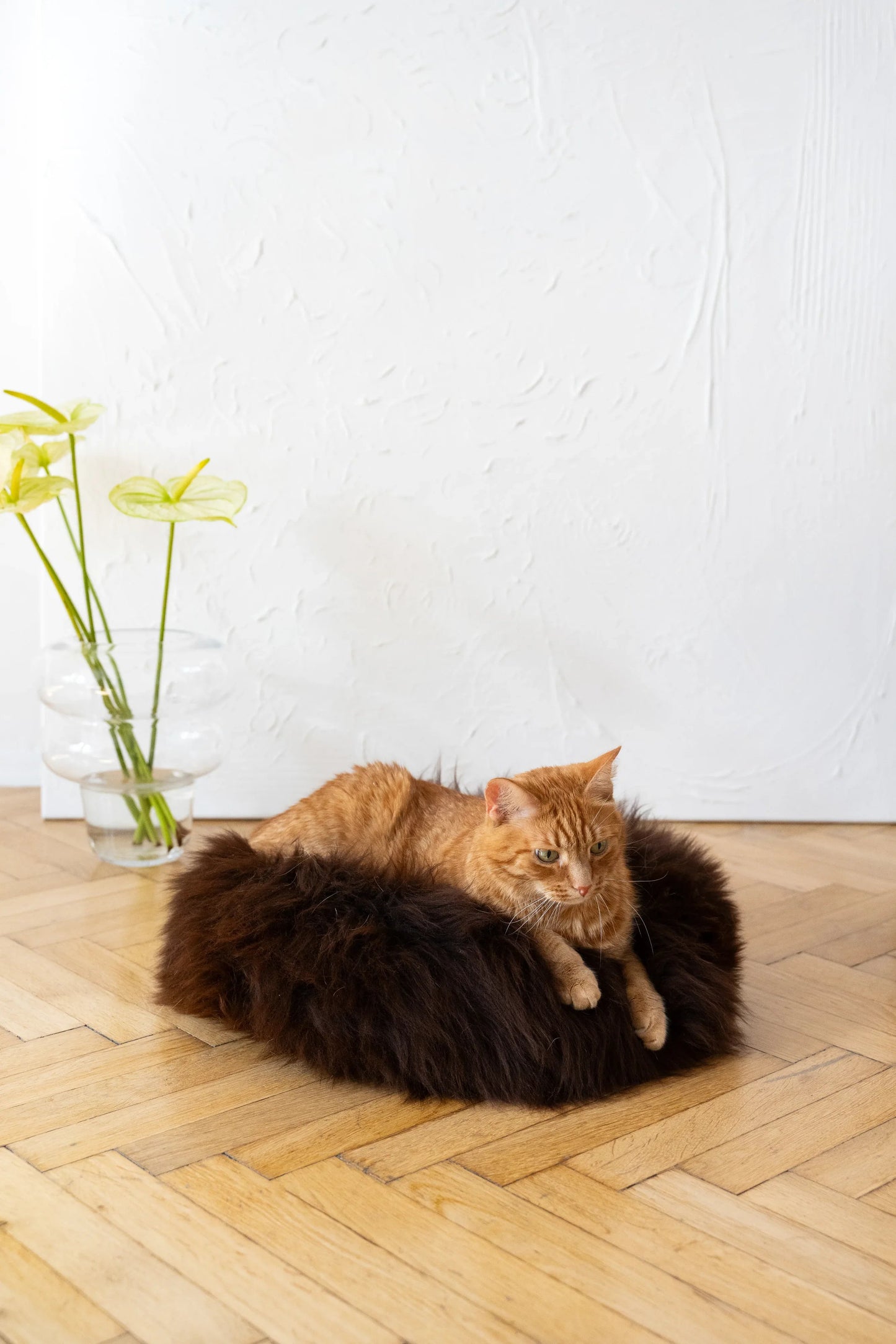 Premium Natural Sheepskin Pet Bed — Brown
