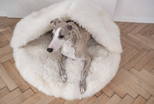 Premium Natural Sheepskin Pet Cave Bed — White