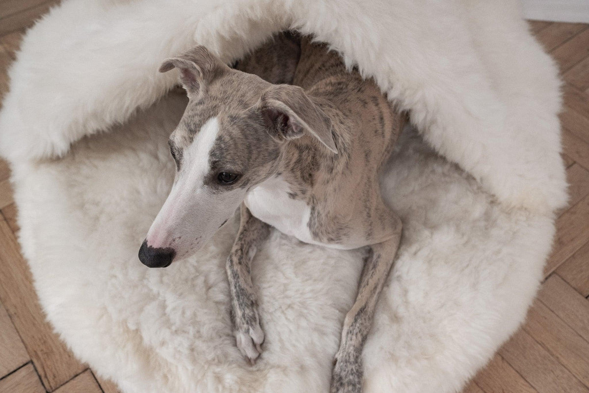 Premium Natural Sheepskin Pet Cave Bed — White