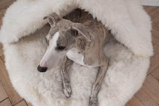 Premium Natural Sheepskin Pet Cave Bed — White