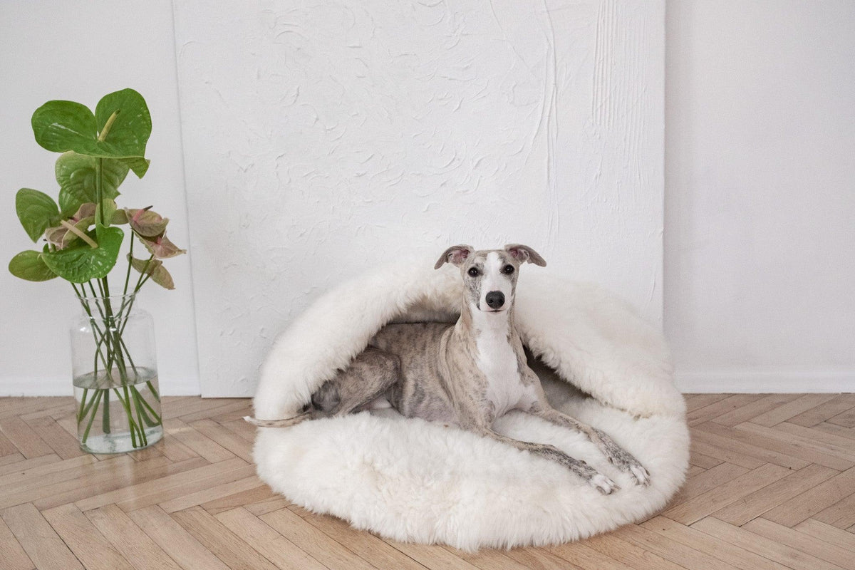 Premium Natural Sheepskin Pet Cave Bed — White