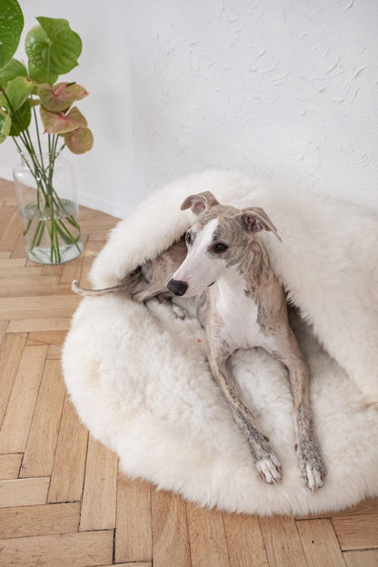 Premium Natural Sheepskin Pet Cave Bed — White