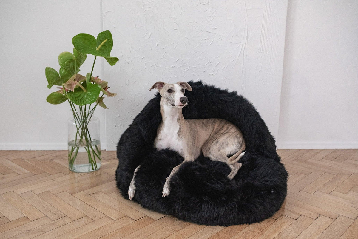 Premium Natural Sheepskin Pet Cave Bed — Black