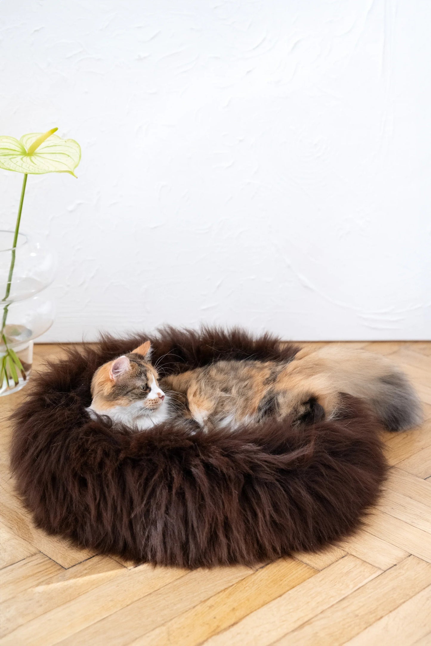 Premium Natural Sheepskin Pet Bed — Brown
