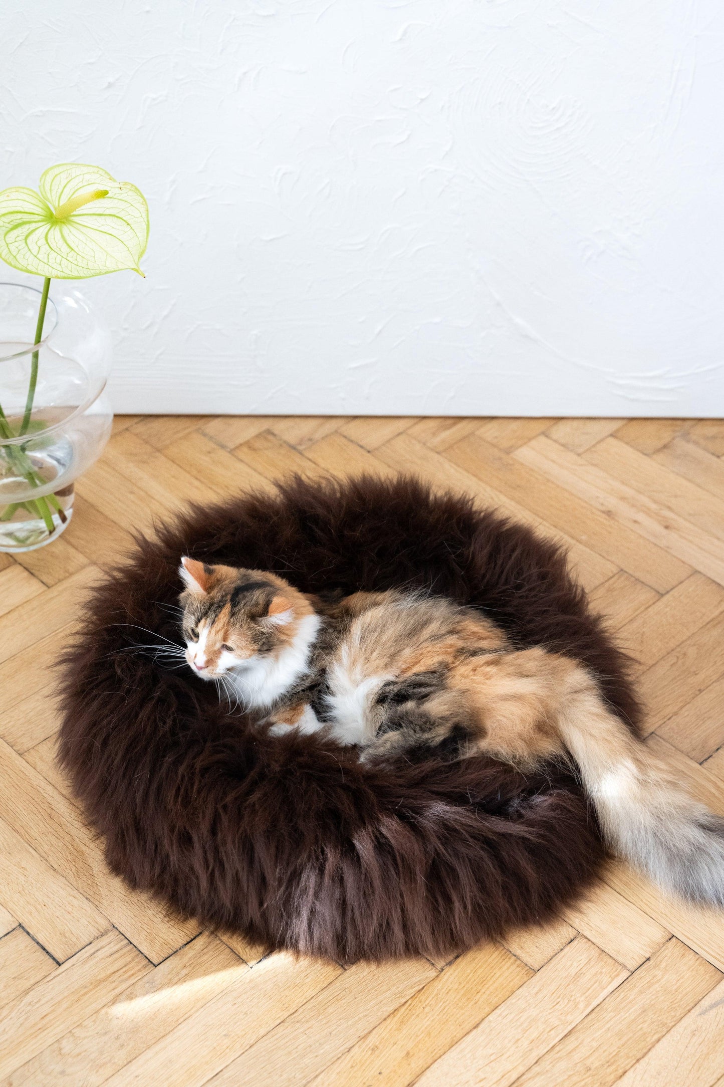 Premium Natural Sheepskin Pet Bed — Brown