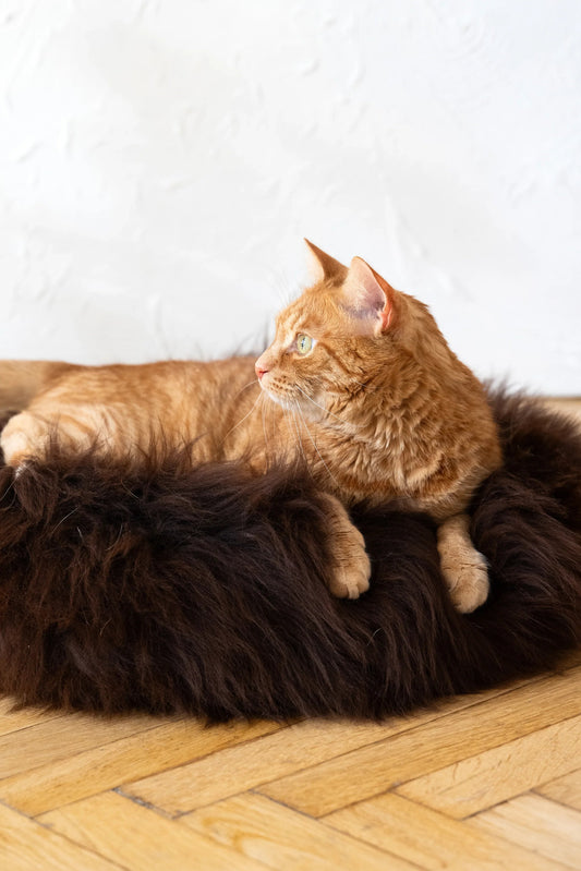 Premium Natural Sheepskin Pet Bed — Brown