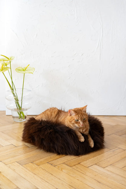 Premium Natural Sheepskin Pet Bed — Brown
