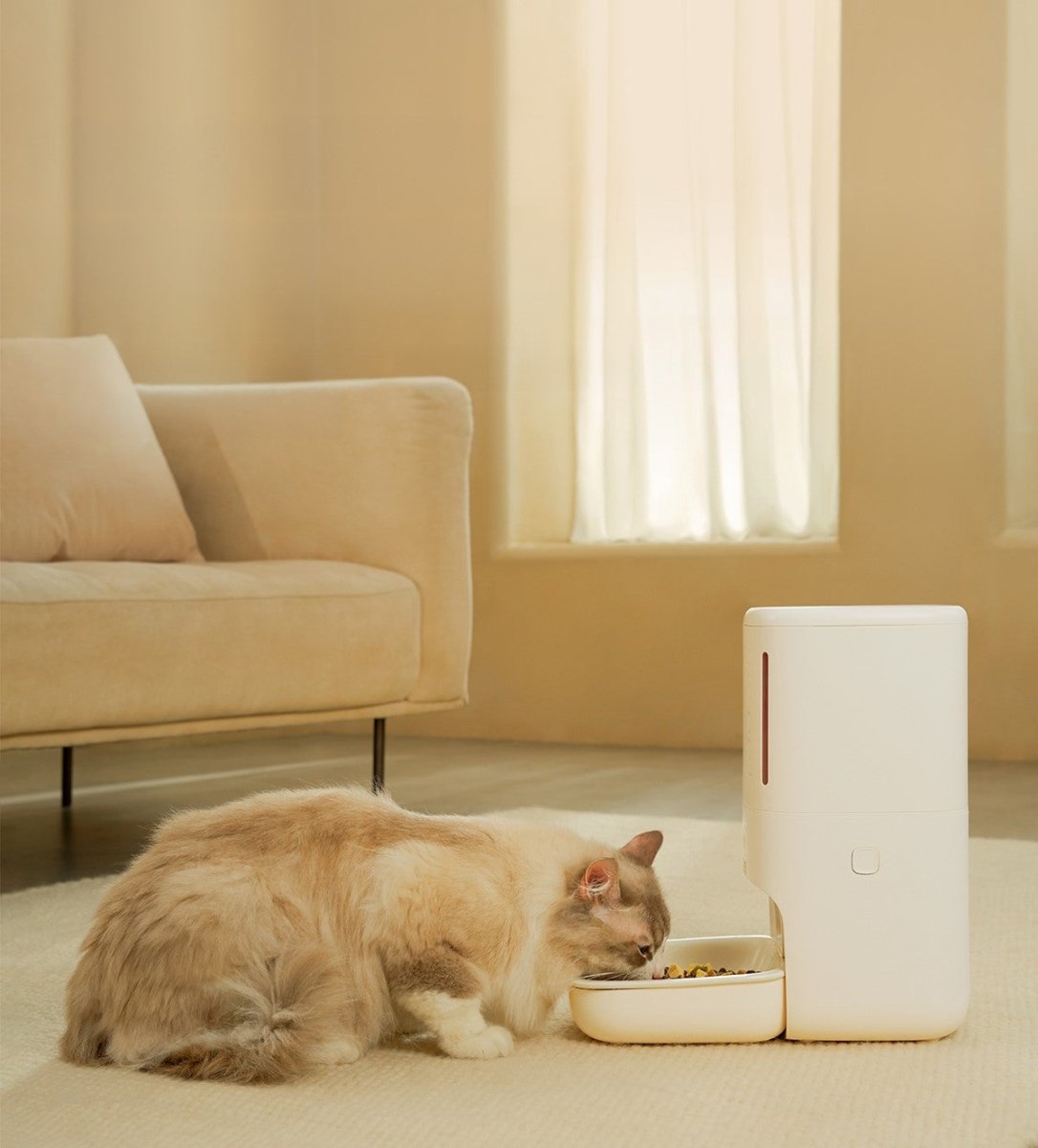 Smart Privacy Camera Pet Feeder — 5.5L, 1080P, App Control