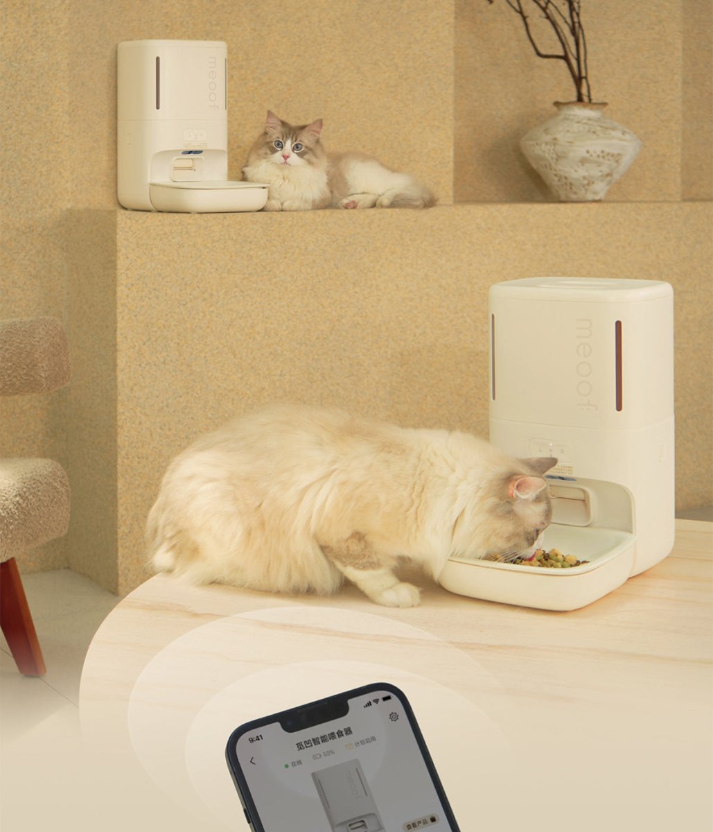 Smart Privacy Camera Pet Feeder — 5.5L, 1080P, App Control