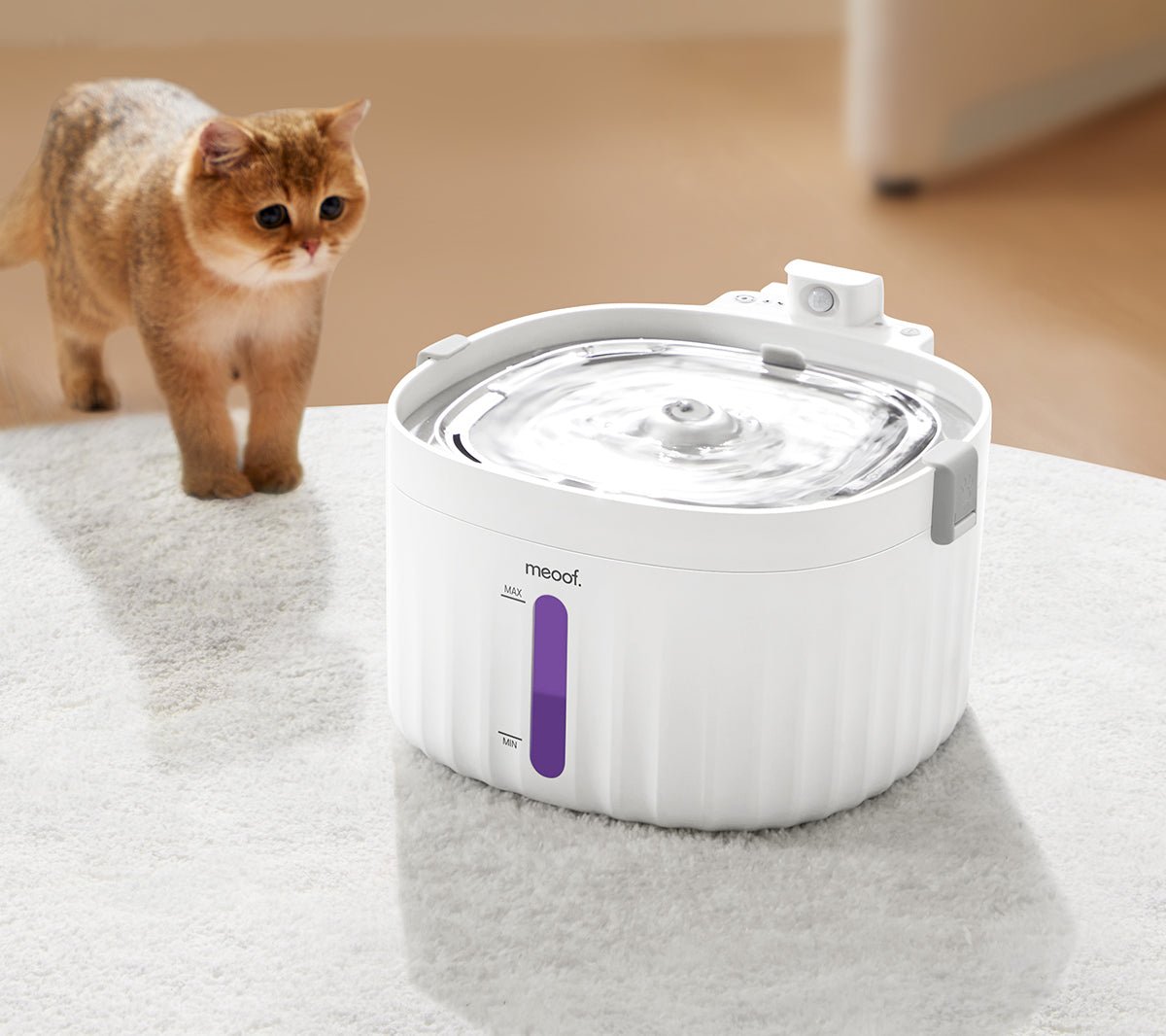 Wireless Smart Ceramic Pet Water Fountain — 2L, Motion Sensor