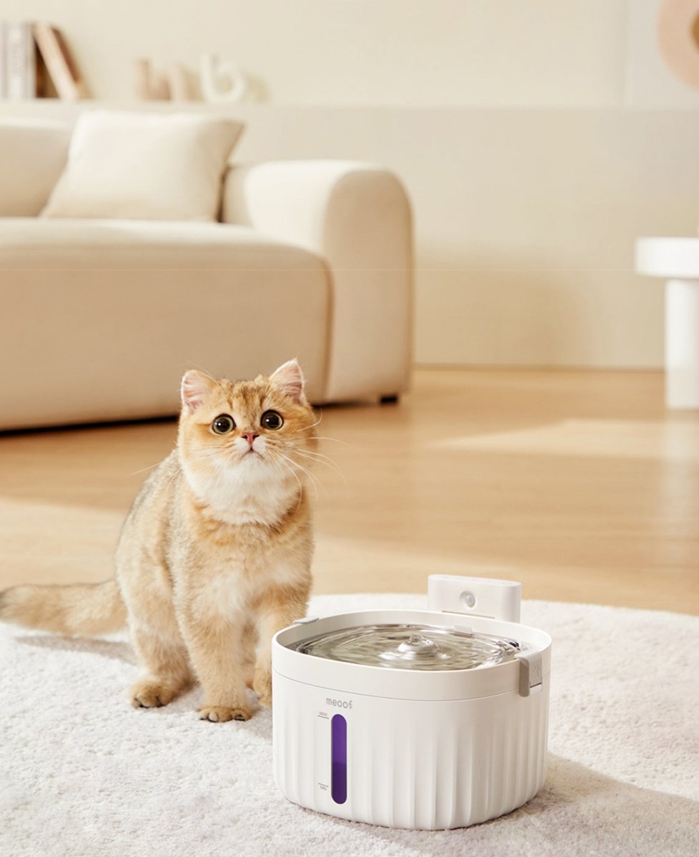 Wireless Smart Ceramic Pet Water Fountain — 2L, Motion Sensor