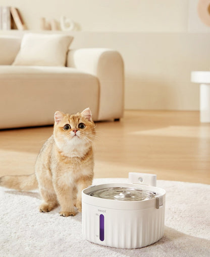 Wireless Smart Ceramic Pet Water Fountain — 2L, Motion Sensor