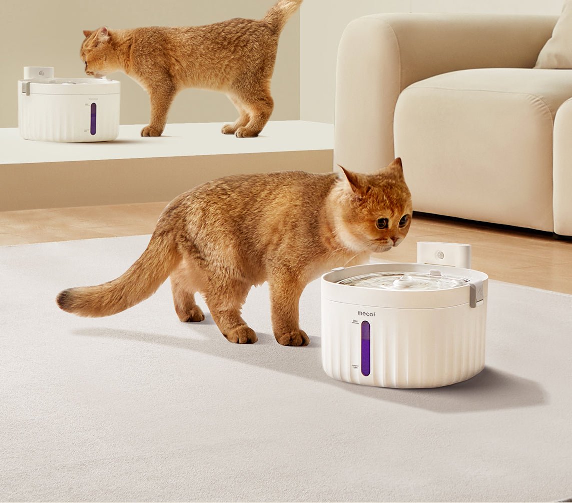 Wireless Smart Ceramic Pet Water Fountain — 2L, Motion Sensor