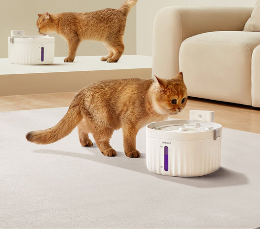 Wireless Smart Ceramic Pet Water Fountain — 2L, Motion Sensor